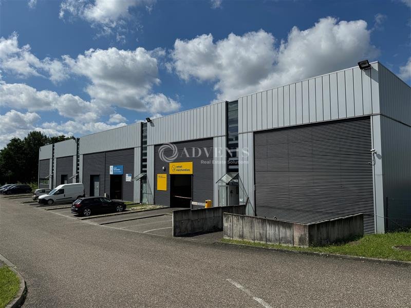 ADVENIS CONSEIL STRASBOURG LOCATION-LOCAL D'ACTIVITE-MUNDOLSHEIM-67
