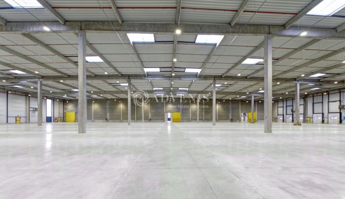 ADVENIS CONSEIL IDF EST LOCATION-ENTREPOT-MARLY_LA_VILLE-95