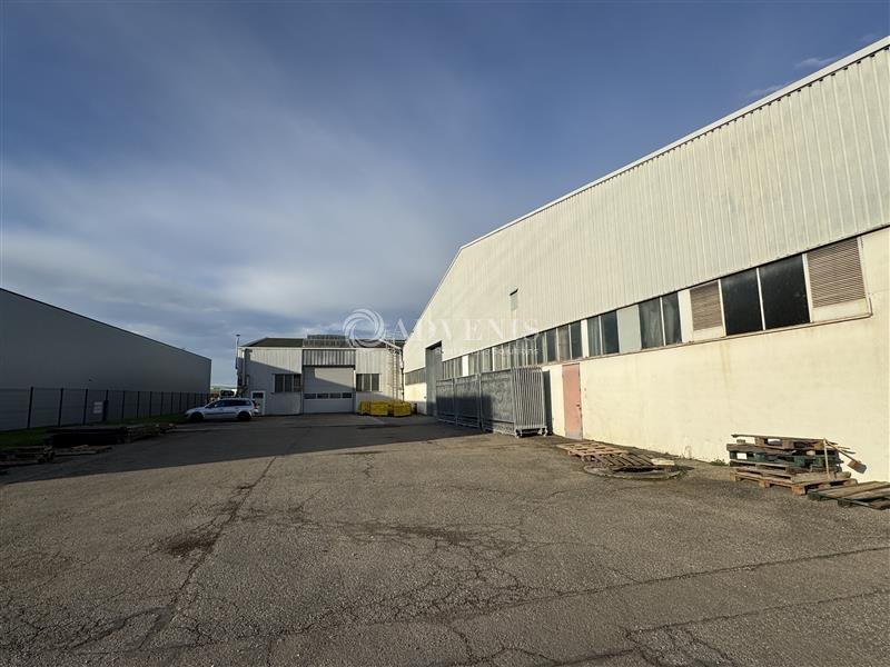 ADVENIS CONSEIL STRASBOURG LOCATION-LOCAL D'ACTIVITE-GEISPOLSHEIM-67