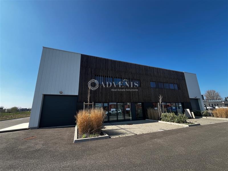 ADVENIS CONSEIL STRASBOURG LOCATION-LOCAL D'ACTIVITE-VENDENHEIM-67