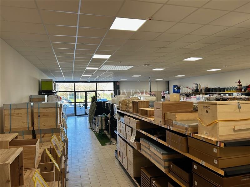 ADVENIS CONSEIL TOURS LOCATION-LOCAL COMMERCIAL-JOUE_LES_TOURS-37
