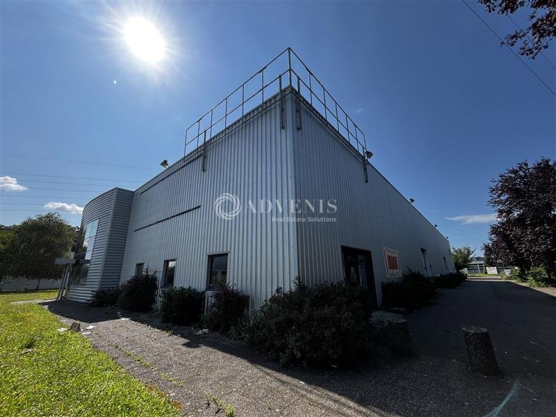 ADVENIS CONSEIL STRASBOURG LOCATION-LOCAL D'ACTIVITE-ECKBOLSHEIM-67