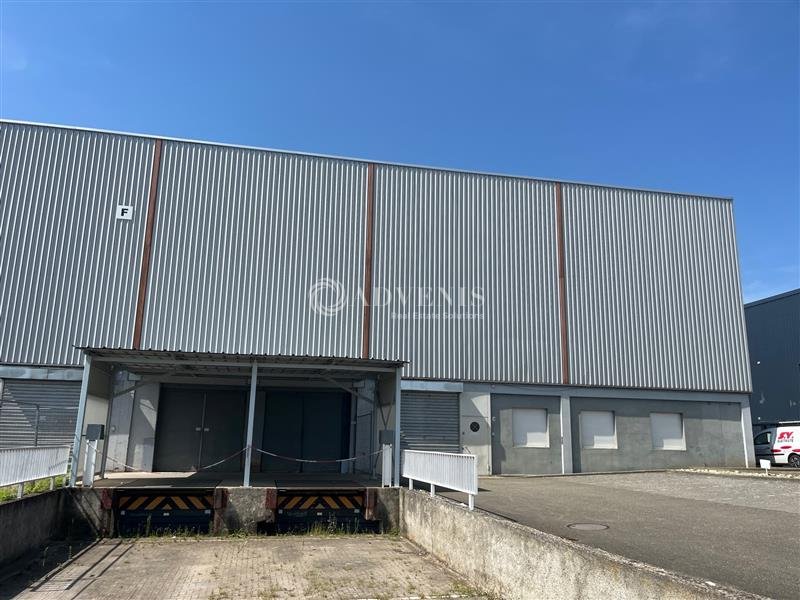 ADVENIS CONSEIL STRASBOURG LOCATION-LOCAL D'ACTIVITE-SELESTAT-67