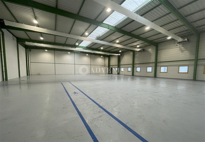 ADVENIS CONSEIL IDF EST LOCATION-LOCAL D'ACTIVITE-LE_MESNIL_AMELOT-77