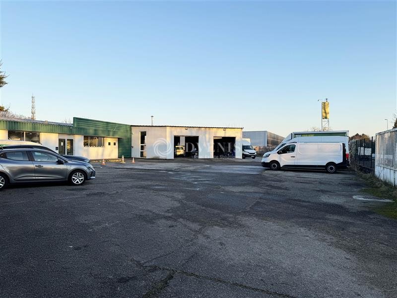 ADVENIS CONSEIL STRASBOURG LOCATION-LOCAL D'ACTIVITE-ECKBOLSHEIM-67