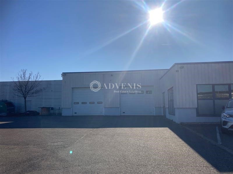 ADVENIS CONSEIL STRASBOURG LOCATION-LOCAL D'ACTIVITE-SELESTAT-67