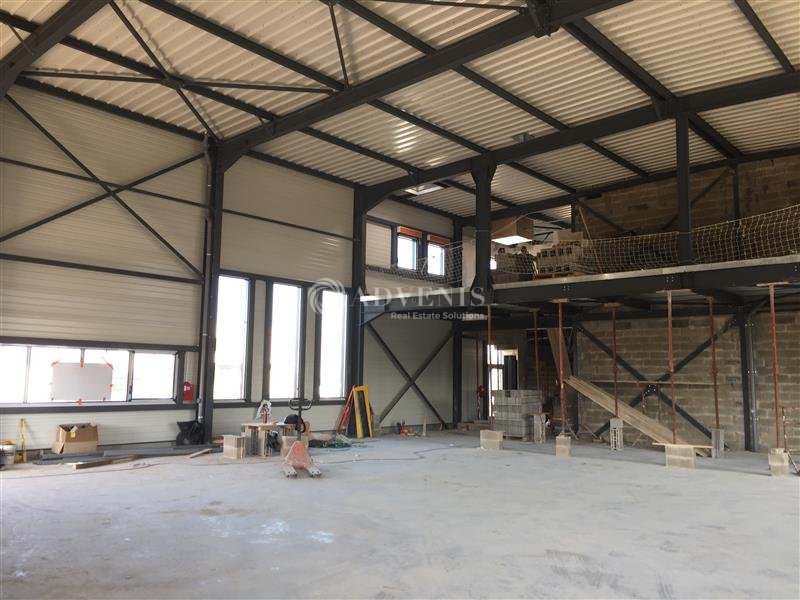 ADVENIS CONSEIL STRASBOURG LOCATION-LOCAL D'ACTIVITE-HOERDT-67