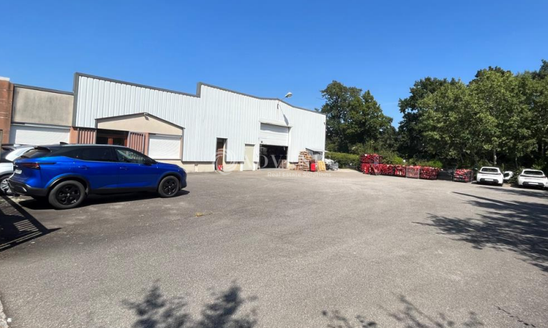 ADVENIS CONSEIL NANTES LOCATION-LOCAL D'ACTIVITE-NANTES-44