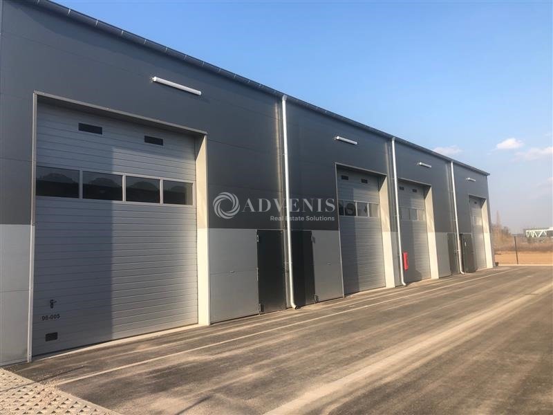 ADVENIS CONSEIL STRASBOURG LOCATION-LOCAL D'ACTIVITE-ENTZHEIM-67