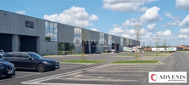 ADVENIS CONSEIL LILLE LOCATION-ENTREPOT-SECLIN-59