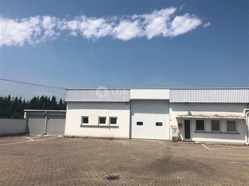 ADVENIS CONSEIL STRASBOURG LOCATION-LOCAL D'ACTIVITE-MUNDOLSHEIM-67