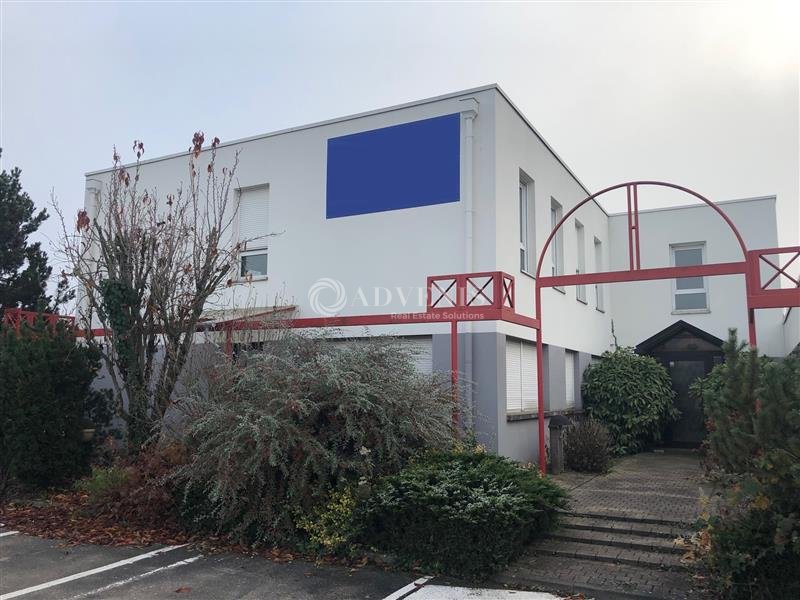 ADVENIS CONSEIL STRASBOURG LOCATION-LOCAL D'ACTIVITE-FEGERSHEIM-67