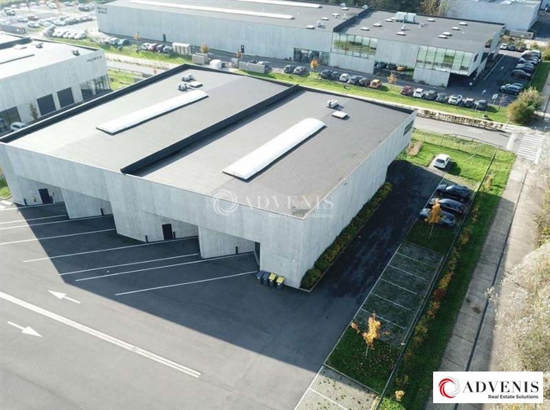 ADVENIS CONSEIL LILLE LOCATION-ENTREPOT-RONCQ-59