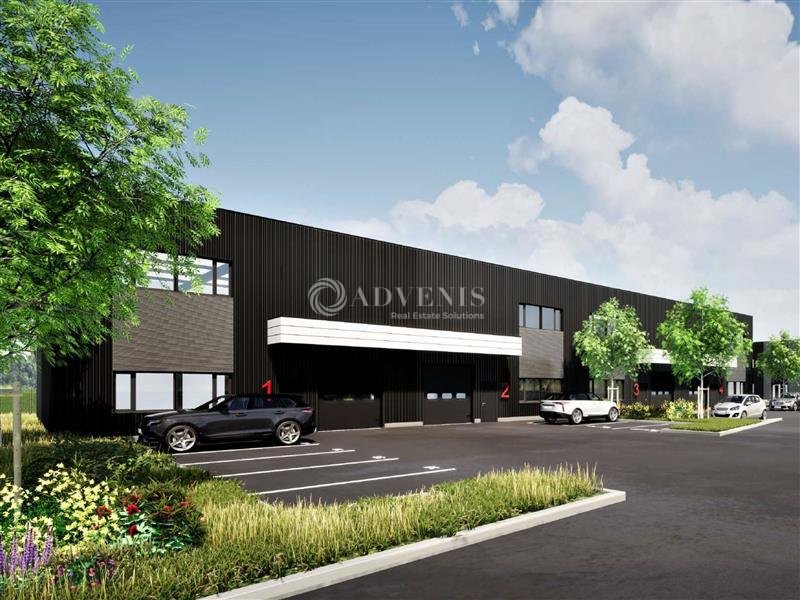 ADVENIS CONSEIL STRASBOURG LOCATION-LOCAL D'ACTIVITE-DUPPIGHEIM-67
