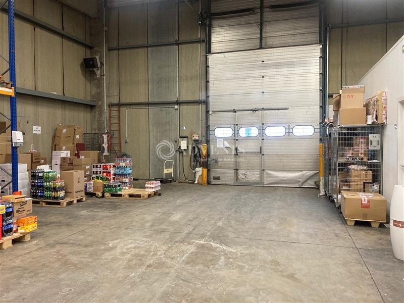 ADVENIS CONSEIL STRASBOURG LOCATION-LOCAL D'ACTIVITE-LINGOLSHEIM-67