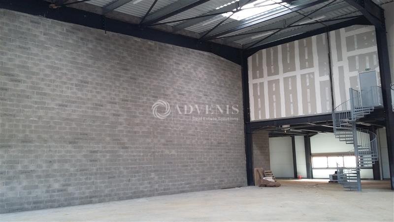 ADVENIS CONSEIL IDF EST LOCATION-LOCAL D'ACTIVITE-BUSSY_SAINT_GEORGES-77