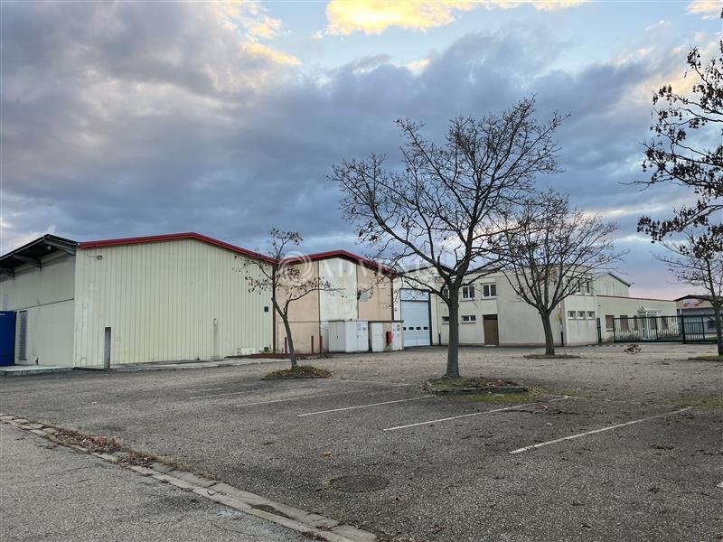 ADVENIS CONSEIL STRASBOURG LOCATION-LOCAL D'ACTIVITE-DUTTLENHEIM-67