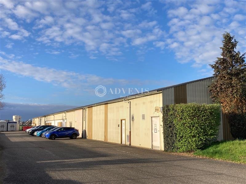 ADVENIS CONSEIL STRASBOURG VENTE-LOCAL D'ACTIVITE-DUTTLENHEIM-67