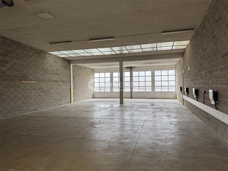 ADVENIS CONSEIL STRASBOURG LOCATION-LOCAL D'ACTIVITE-STRASBOURG-67