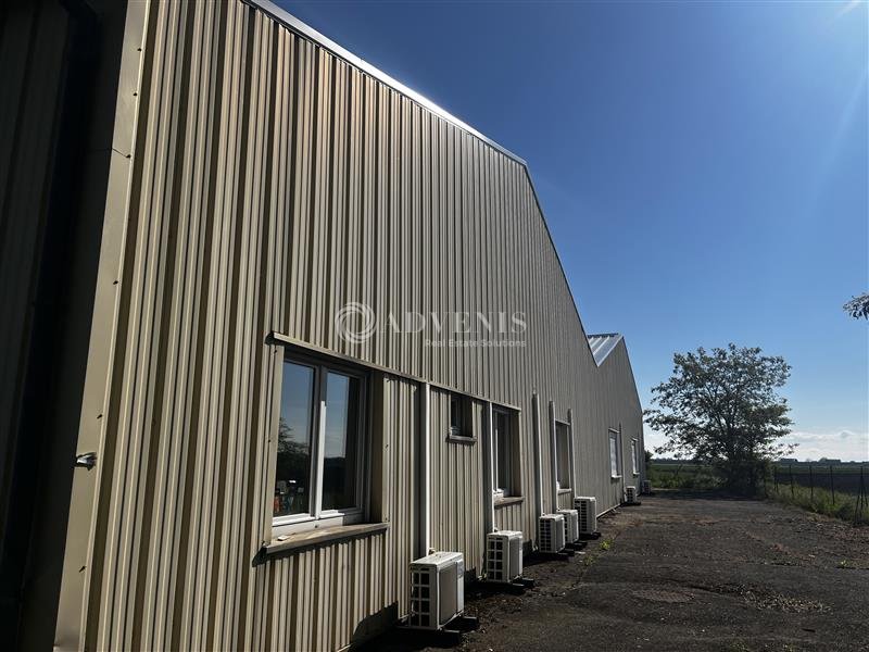 ADVENIS CONSEIL STRASBOURG LOCATION-LOCAL D'ACTIVITE-DUTTLENHEIM-67