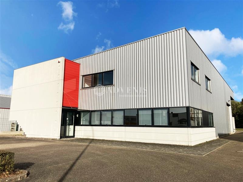ADVENIS CONSEIL STRASBOURG LOCATION-LOCAL D'ACTIVITE-SOUFFELWEYERSHEIM-67