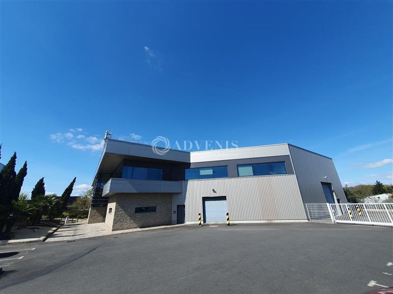 ADVENIS CONSEIL NANTES LOCATION-LOCAL D'ACTIVITE-REZE-44