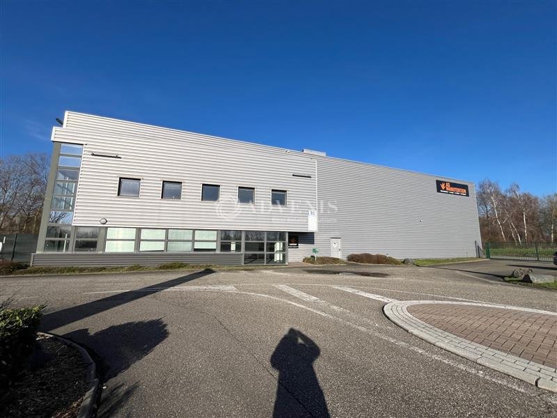 ADVENIS CONSEIL STRASBOURG LOCATION-LOCAL D'ACTIVITE-LA_WANTZENAU-67