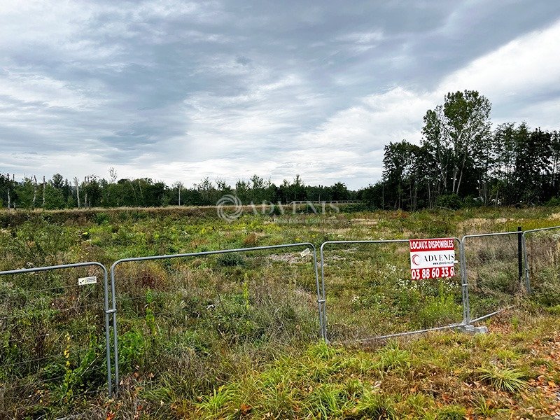 ADVENIS CONSEIL STRASBOURG VENTE-TERRAIN-STEINBOURG-67