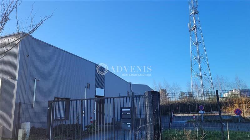 ADVENIS CONSEIL NANTES LOCATION-LOCAL D'ACTIVITE-CARQUEFOU-44