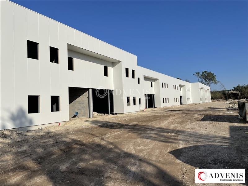ADVENIS CONSEIL BORDEAUX VENTE-LOCAL D'ACTIVITE-SAINT_JEAN_D'ILLAC-33