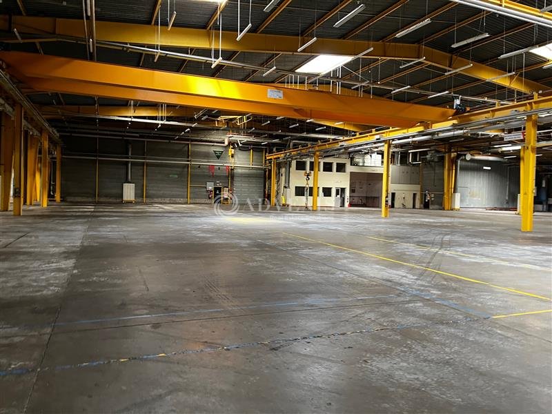 ADVENIS CONSEIL TOURS LOCATION-ENTREPOT-JOUE_LES_TOURS-37
