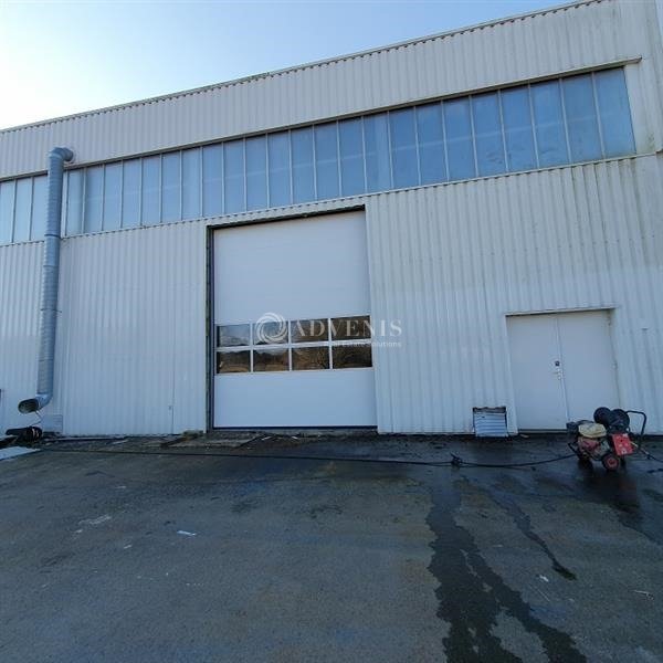 ADVENIS CONSEIL NANTES LOCATION-LOCAL D'ACTIVITE-MALVILLE-44
