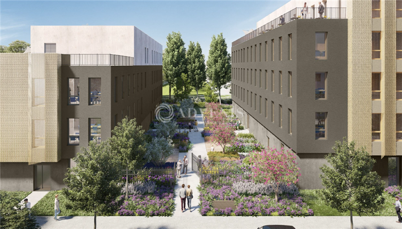 ADVENIS CONSEIL LYON LOCATION-BUREAUX-DECINES_CHARPIEU-69