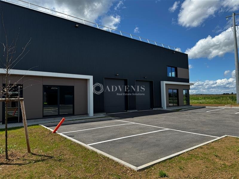 ADVENIS CONSEIL STRASBOURG VENTE-LOCAL D'ACTIVITE-ITTENHEIM-67
