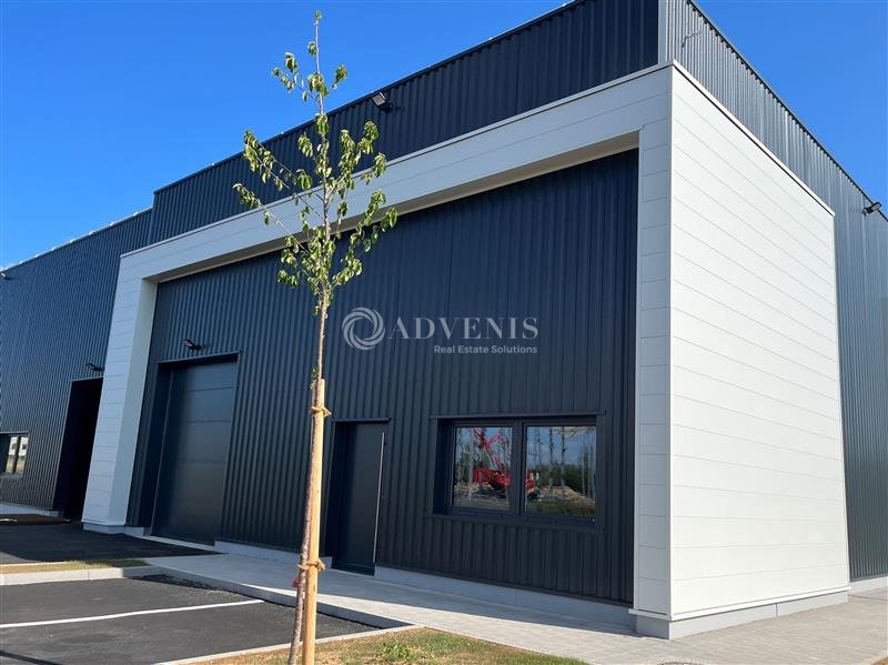 ADVENIS CONSEIL STRASBOURG VENTE-LOCAL D'ACTIVITE-GOXWILLER-67
