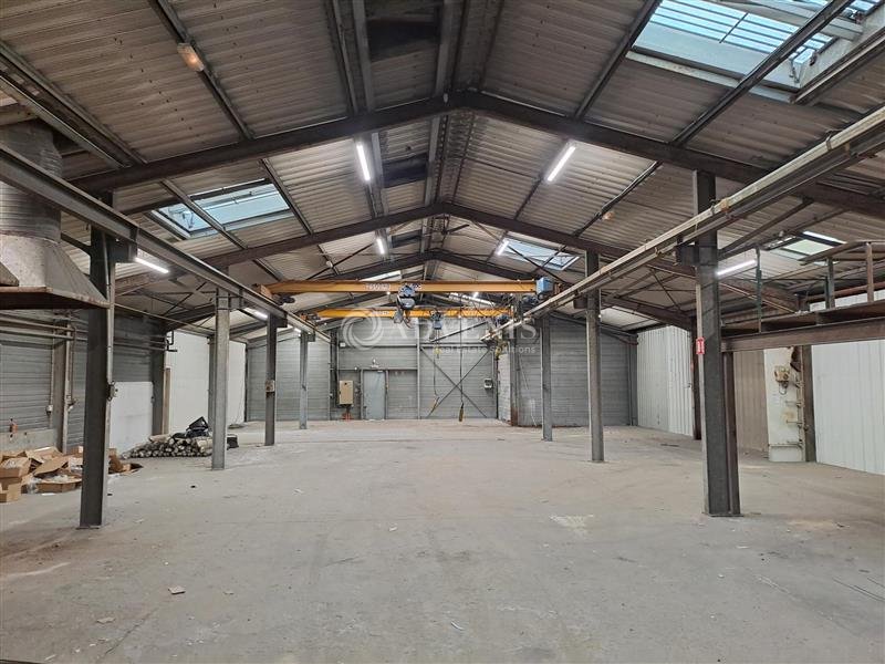 ADVENIS CONSEIL NANTES LOCATION-LOCAL D'ACTIVITE-MALVILLE-44
