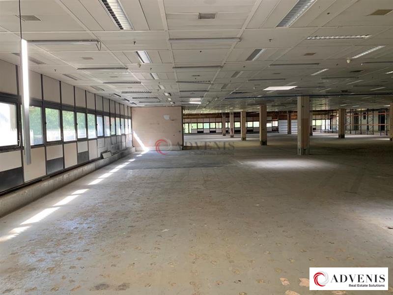 ADVENIS CONSEIL BORDEAUX LOCATION-LOCAL D'ACTIVITE-CANEJAN-33