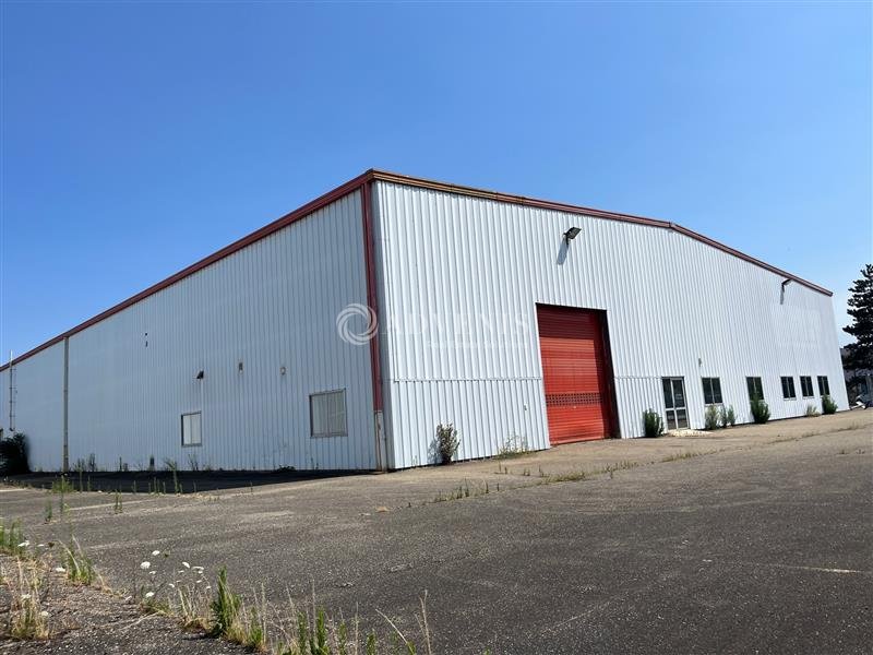 ADVENIS CONSEIL STRASBOURG LOCATION-LOCAL D'ACTIVITE-FEGERSHEIM-67