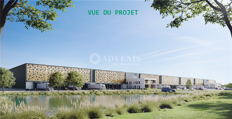 ADVENIS CONSEIL LE MANS LOCATION-ENTREPOT-LOUAILLES-72