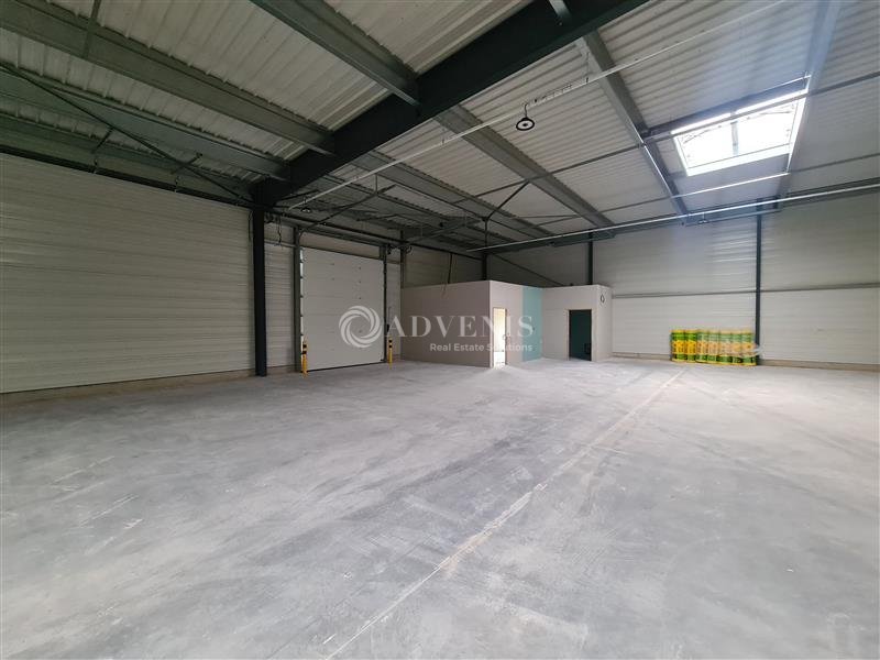 ADVENIS CONSEIL NANCY LOCATION-LOCAL D'ACTIVITE-FLEVY-57