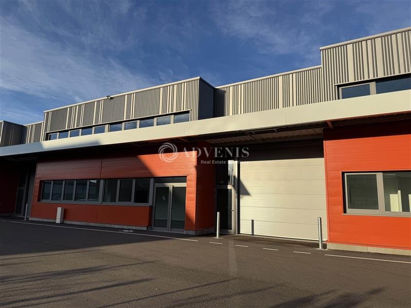 ADVENIS CONSEIL STRASBOURG LOCATION-LOCAL D'ACTIVITE-ESCHAU-67