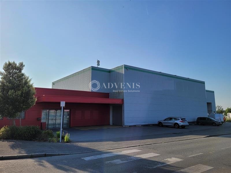 ADVENIS CONSEIL NANTES LOCATION-LOCAL D'ACTIVITE-BASSE_GOULAINE-44