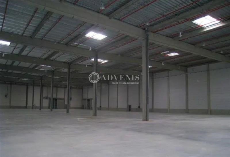 ADVENIS CONSEIL IDF EST LOCATION-ENTREPOT-MARLY_LA_VILLE-95