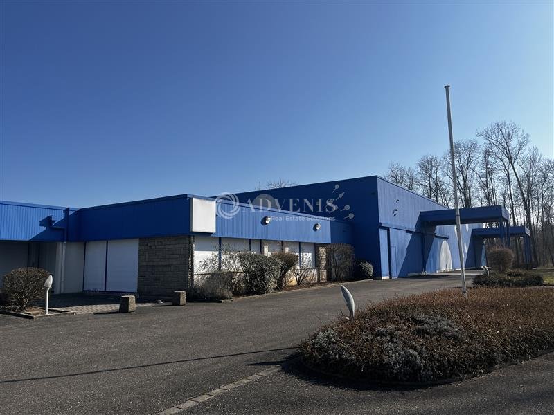 ADVENIS CONSEIL STRASBOURG VENTE-LOCAL D'ACTIVITE-ERNOLSHEIM_BRUCHE-67