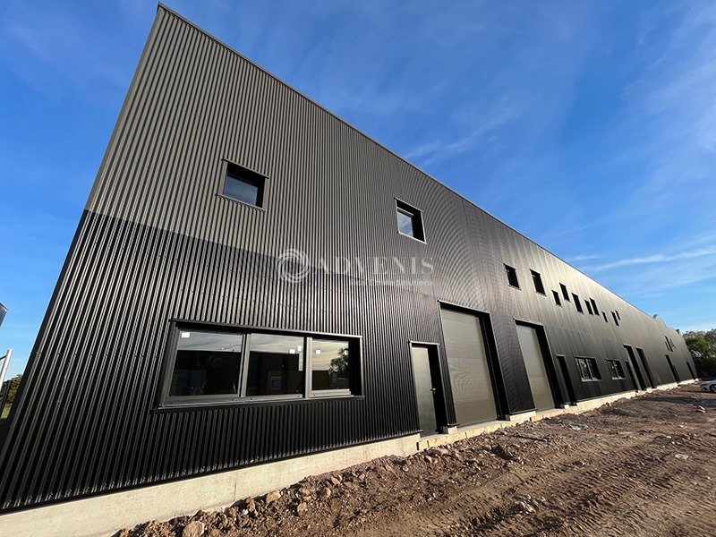 ADVENIS CONSEIL STRASBOURG LOCATION-LOCAL D'ACTIVITE-MARLENHEIM-67