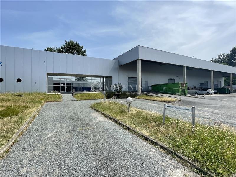 ADVENIS CONSEIL BORDEAUX LOCATION-LOCAL D'ACTIVITE-CESTAS-33