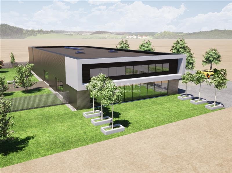 ADVENIS CONSEIL STRASBOURG LOCATION-LOCAL D'ACTIVITE-HERRLISHEIM-67