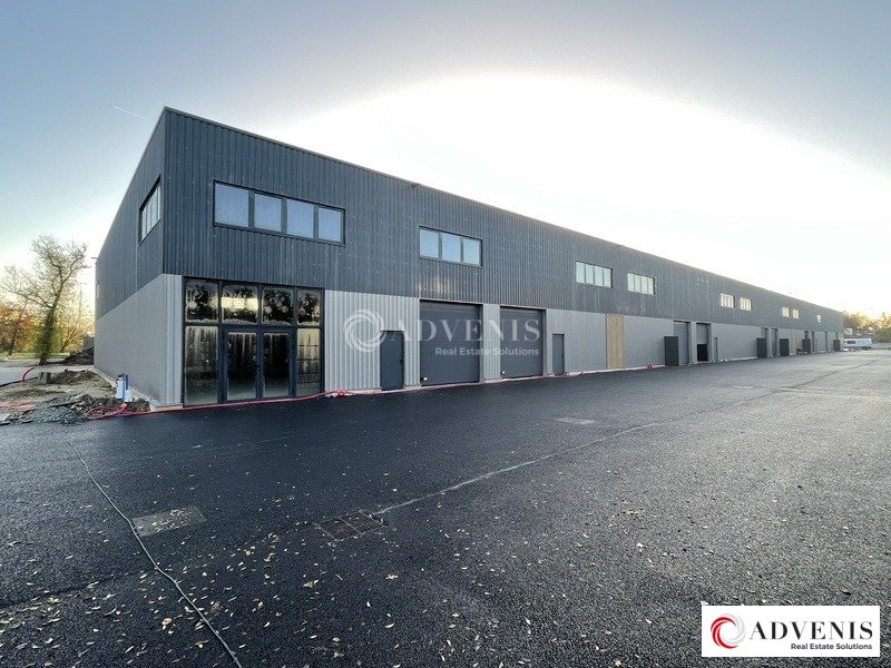 ADVENIS CONSEIL BORDEAUX LOCATION-LOCAL D'ACTIVITE-AMBARES_ET_LAGRAVE-33