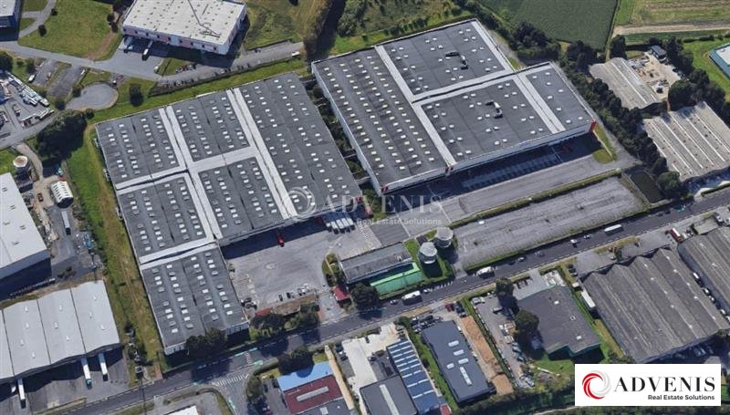 ADVENIS CONSEIL LILLE LOCATION-ENTREPOT-TOUFFLERS-59