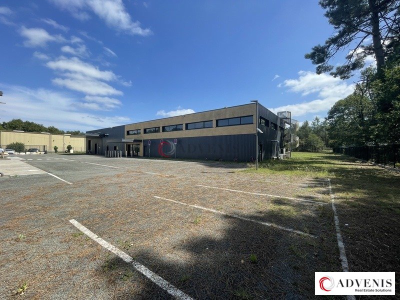 ADVENIS CONSEIL BORDEAUX VENTE-LOCAL D'ACTIVITE-SAINT_JEAN_D'ILLAC-33